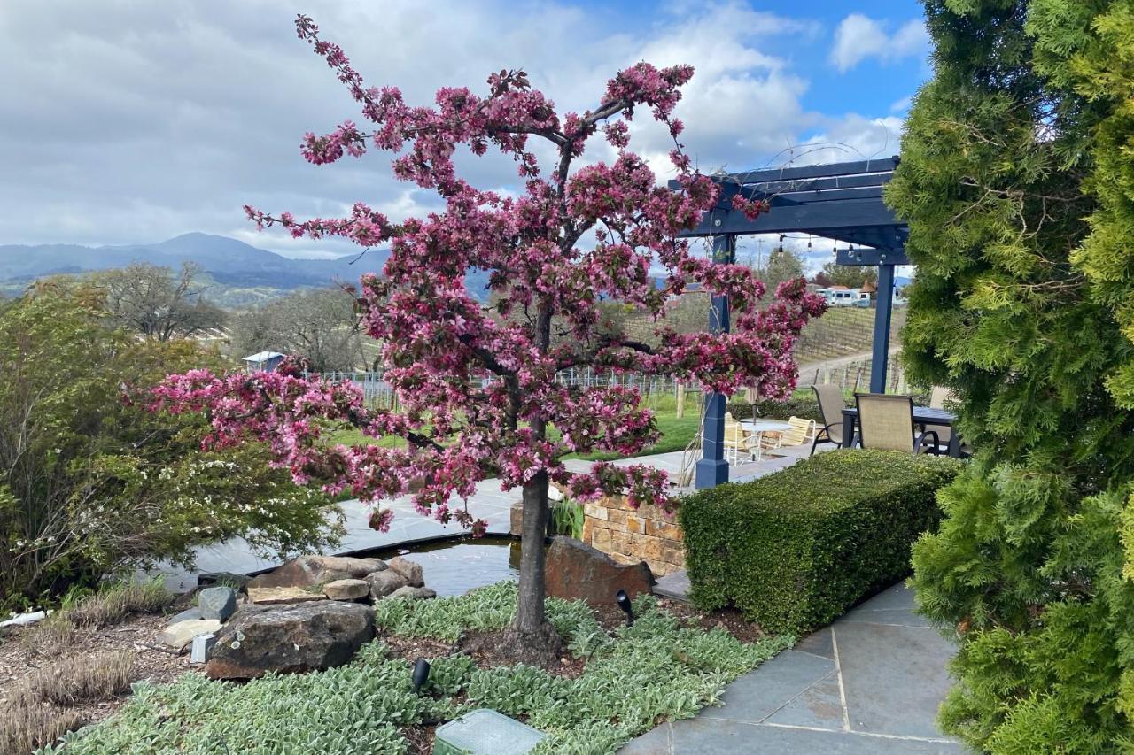 Alexander Valley Retreat Healdsburg Exteriör bild