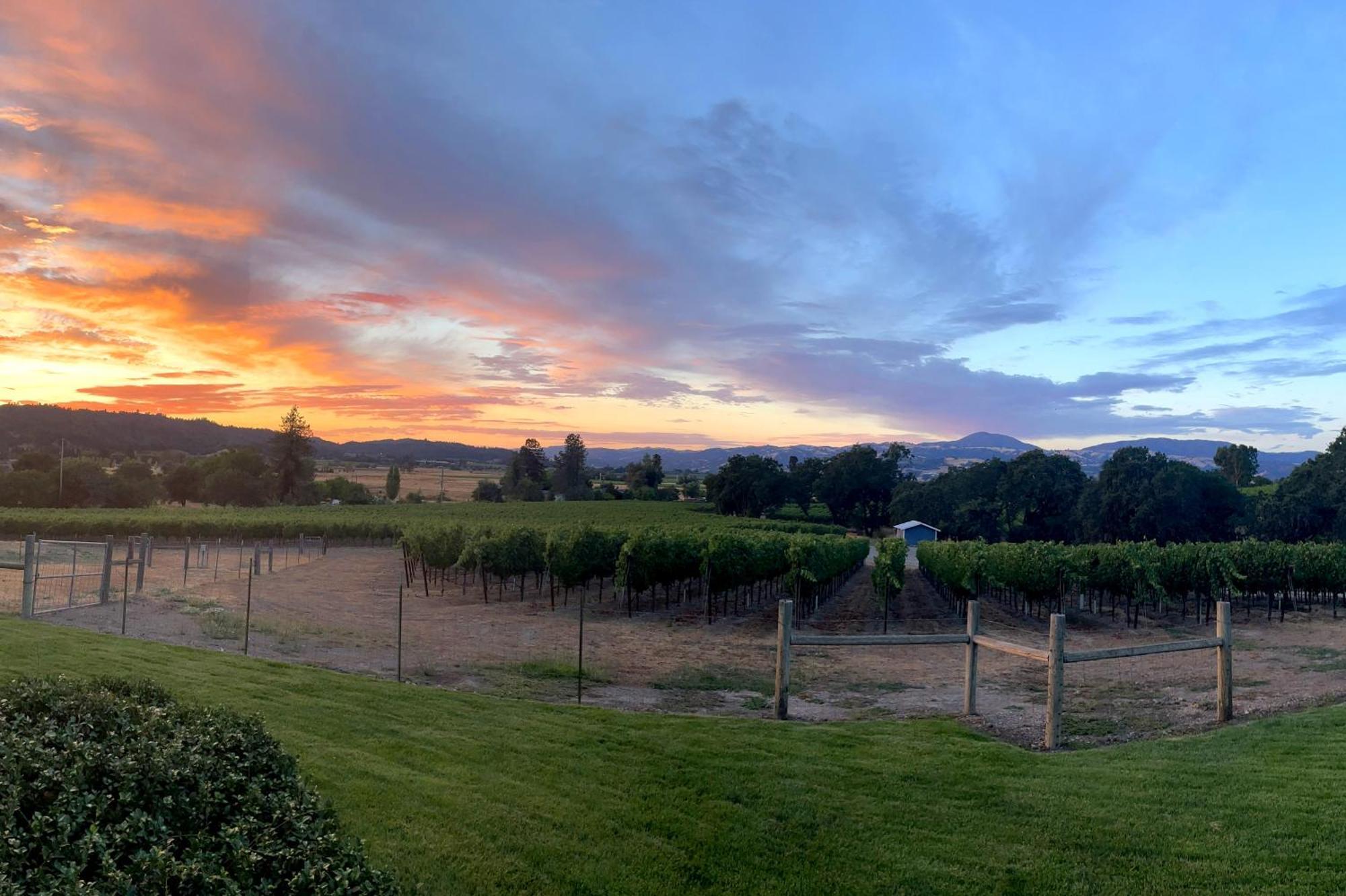 Alexander Valley Retreat Healdsburg Exteriör bild